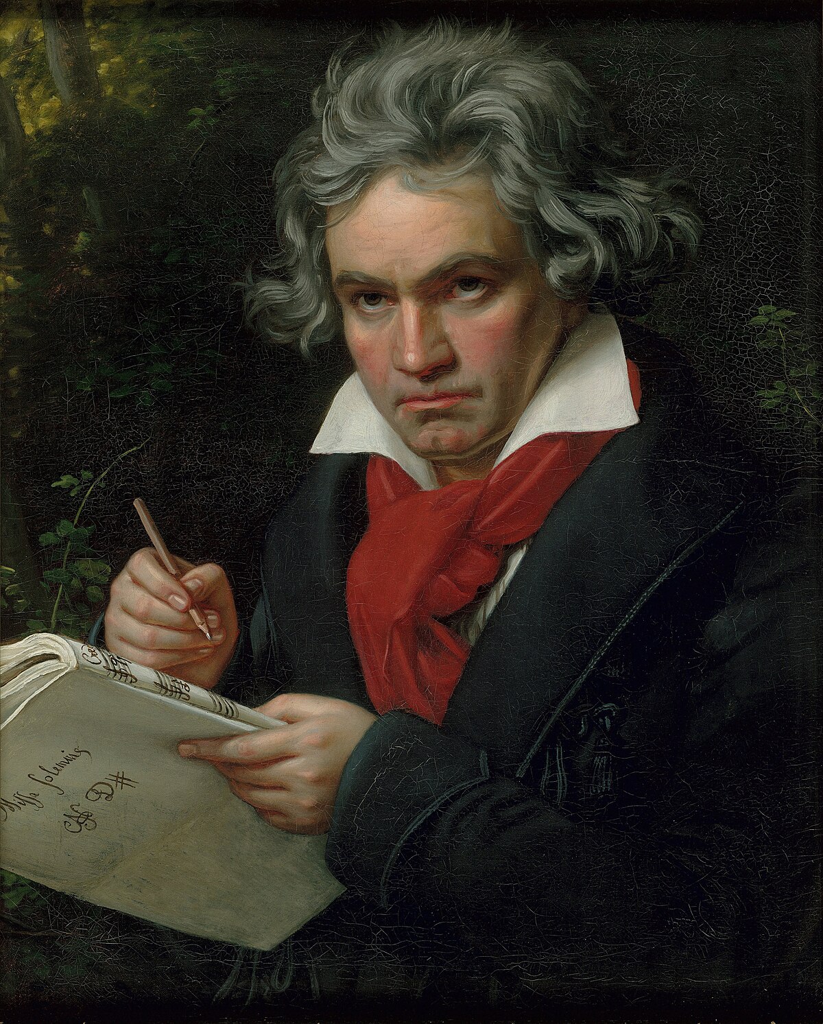 Ludwig van Beethoven|300